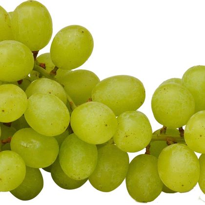 Fresh grapes