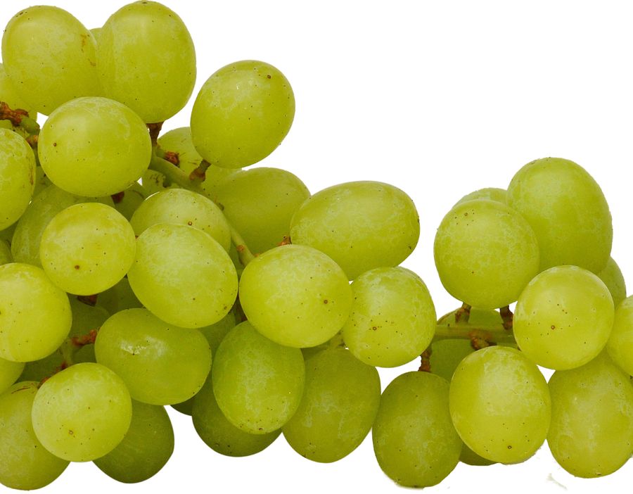 Fruit