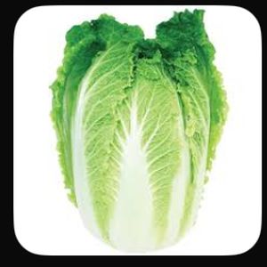 Chinese Cabbage