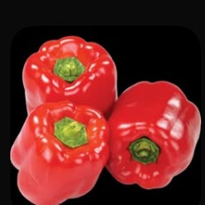 Fresh vegetables