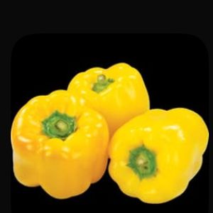 Yellow Pepper